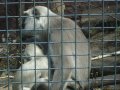 IMGP0893.JPG